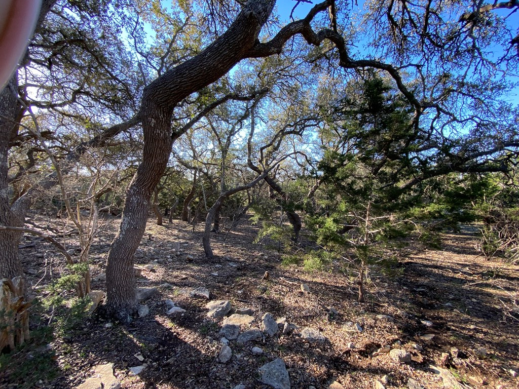 main property photo 11
