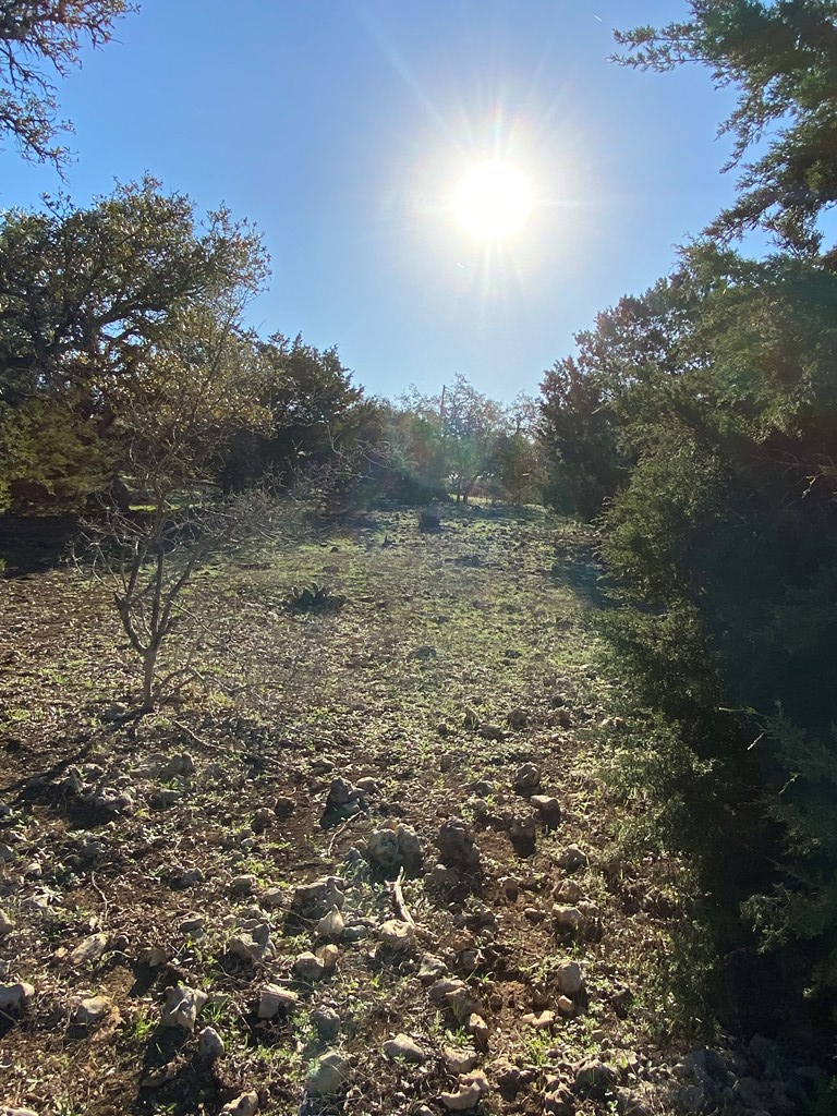 main property photo 17