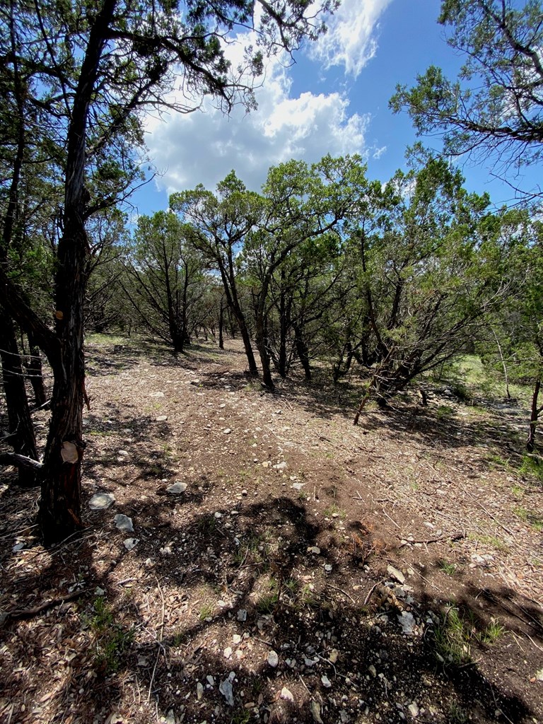 main property photo 11