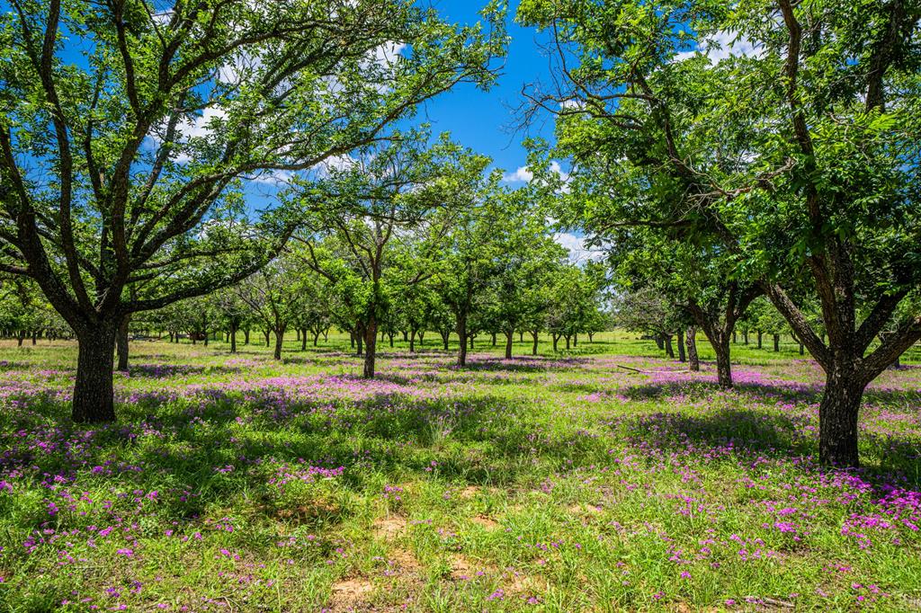 main property photo 66