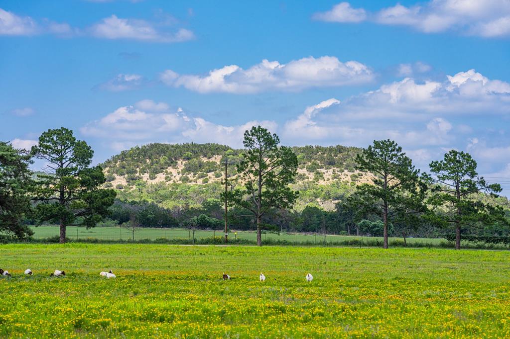main property photo 69