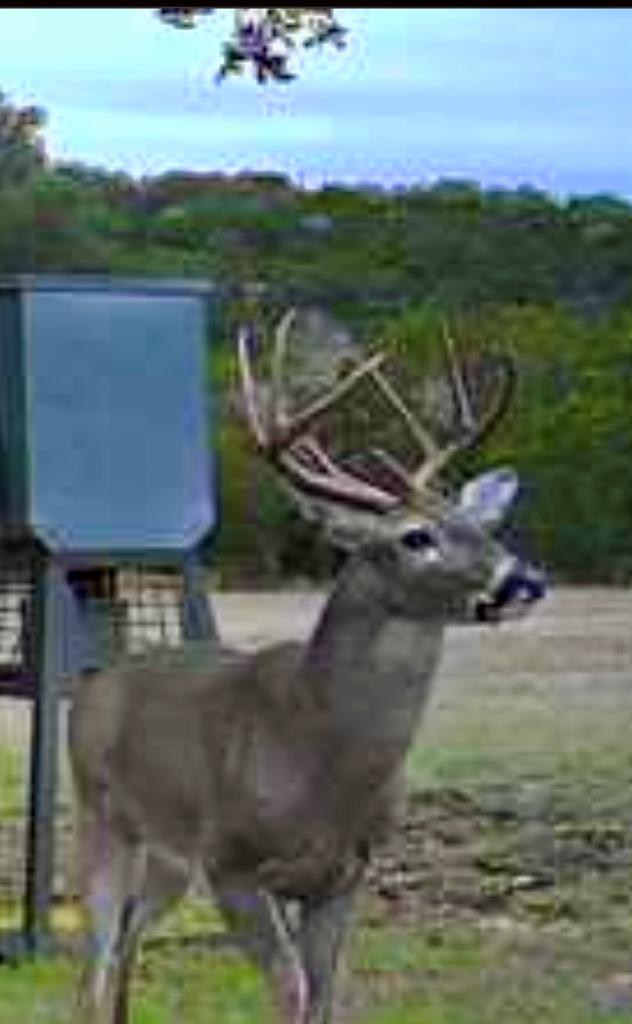 main property photo 57