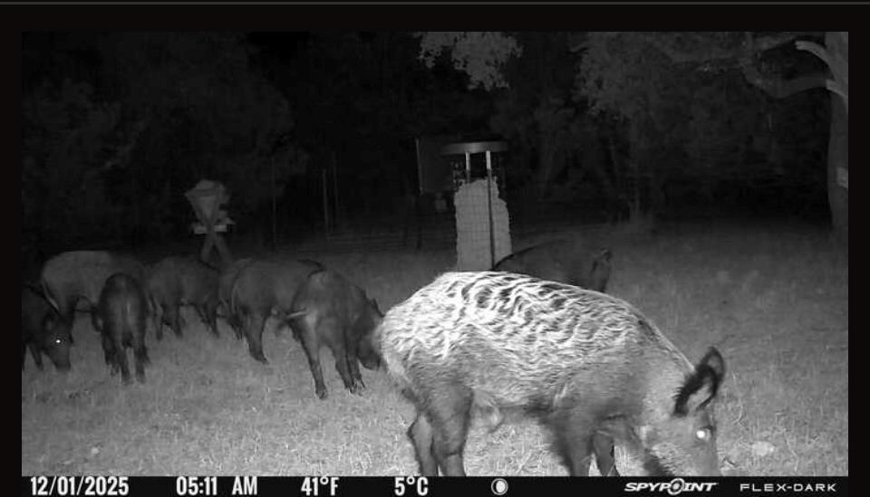 main property photo 58