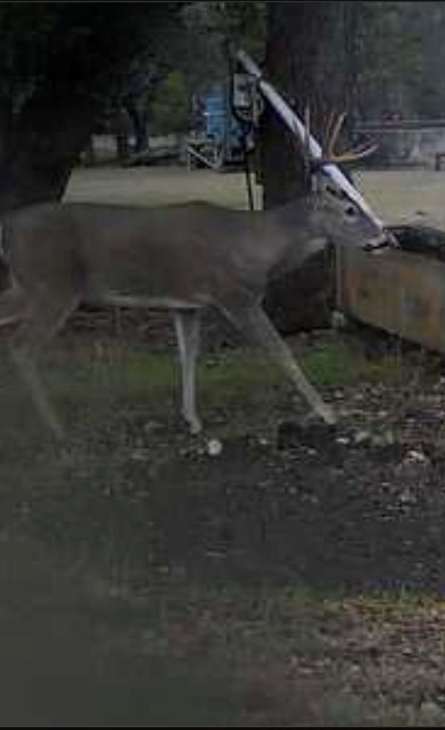 main property photo 59