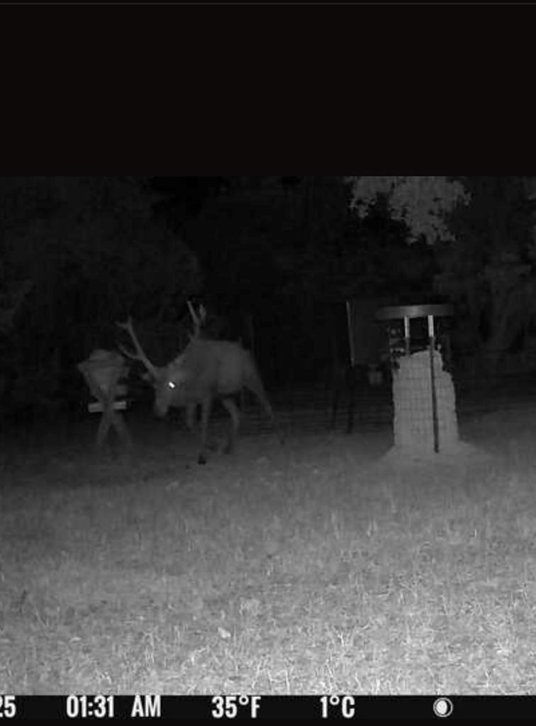 main property photo 60