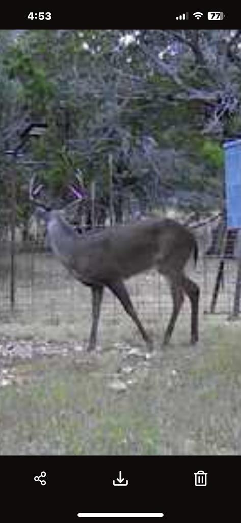 main property photo 61