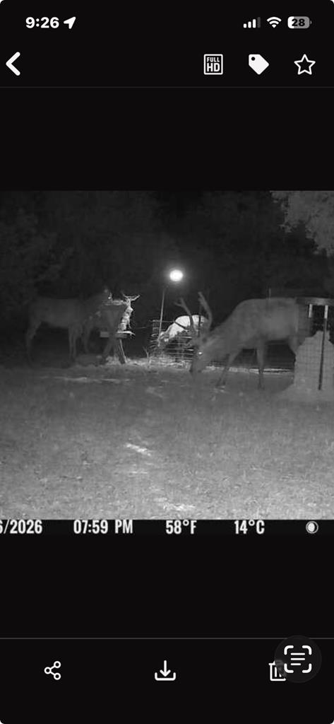 main property photo 63