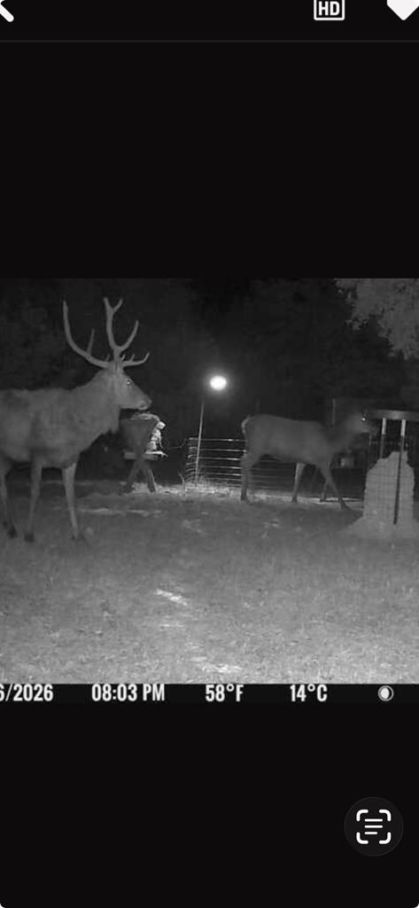 main property photo 65