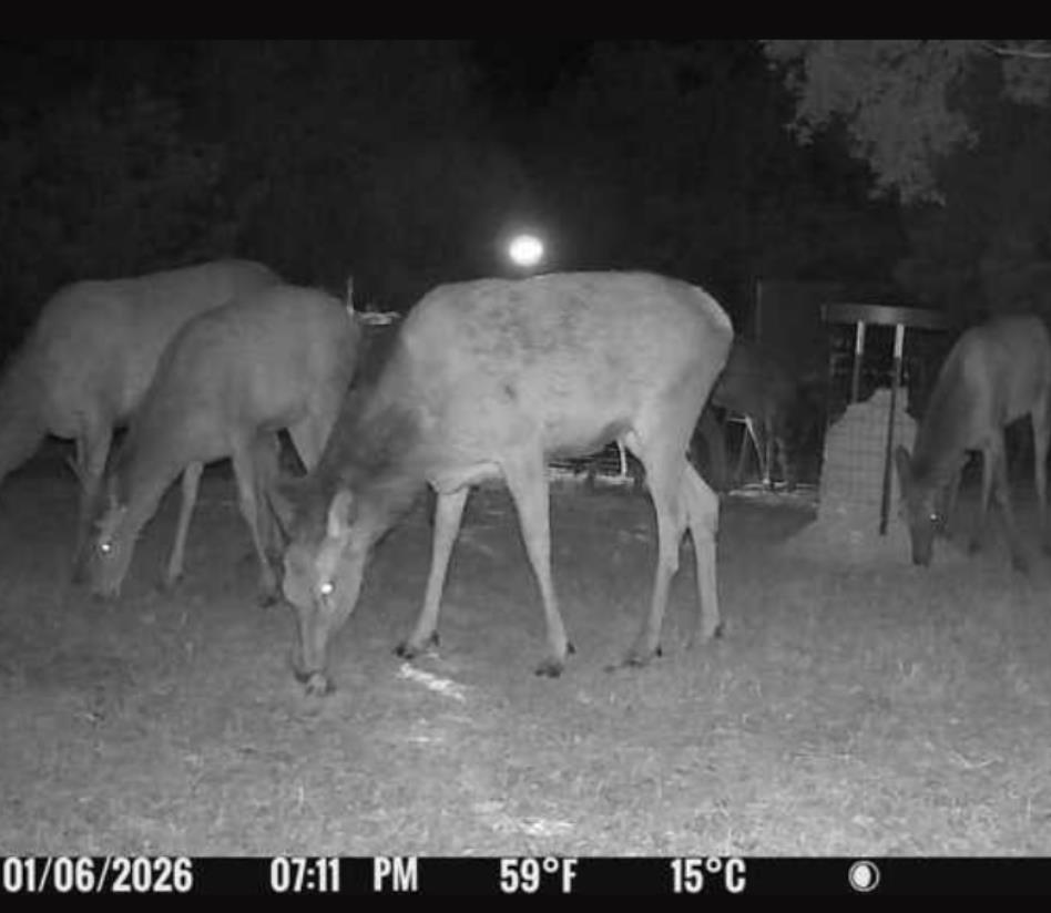 main property photo 66
