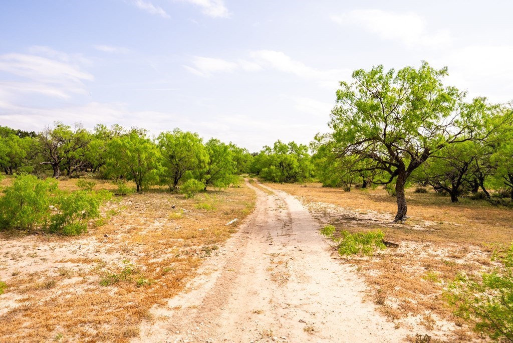 main property photo 50