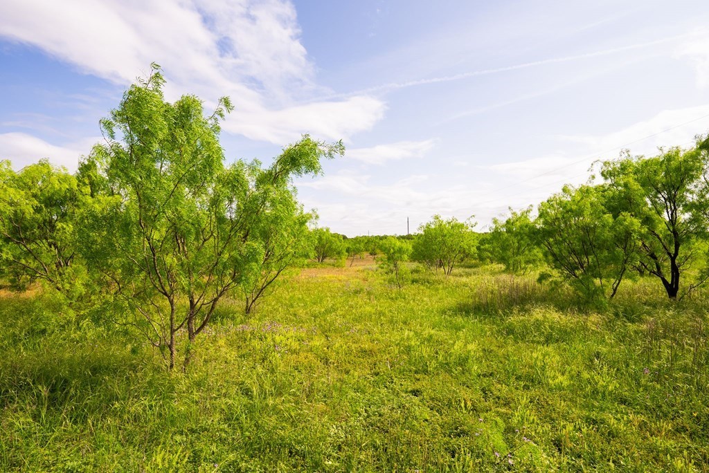 main property photo 61