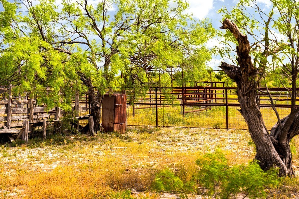 main property photo 31
