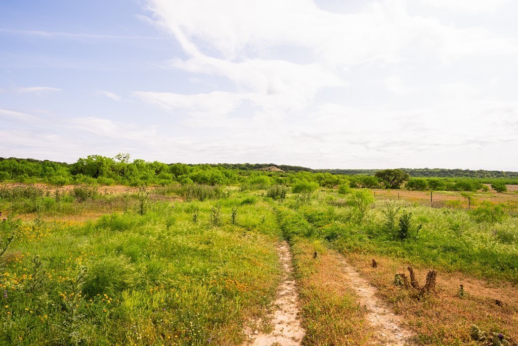 main property photo 56