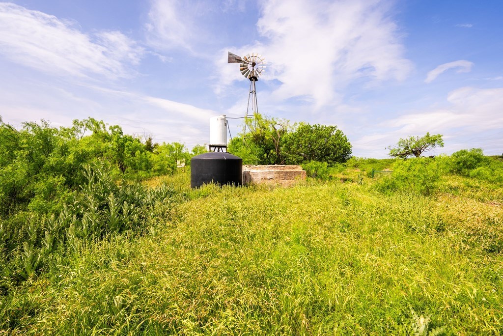 main property photo 49
