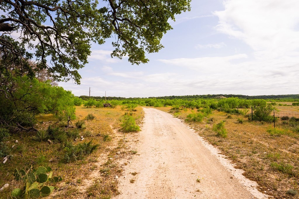 main property photo 59