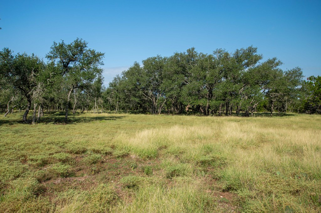 main property photo 11