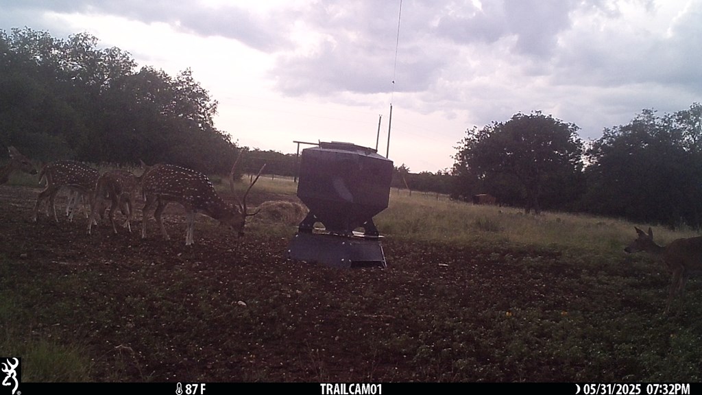 main property photo 22