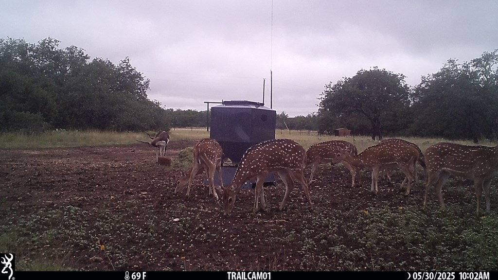main property photo 26