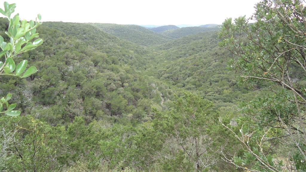 main property photo 11
