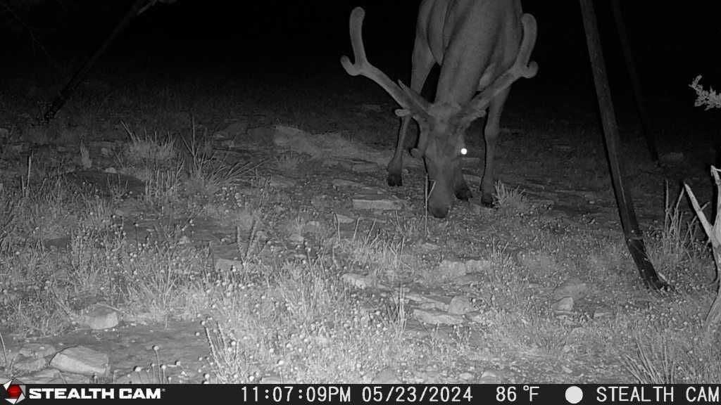 main property photo 18