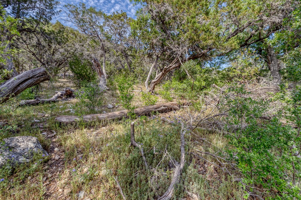 main property photo 62