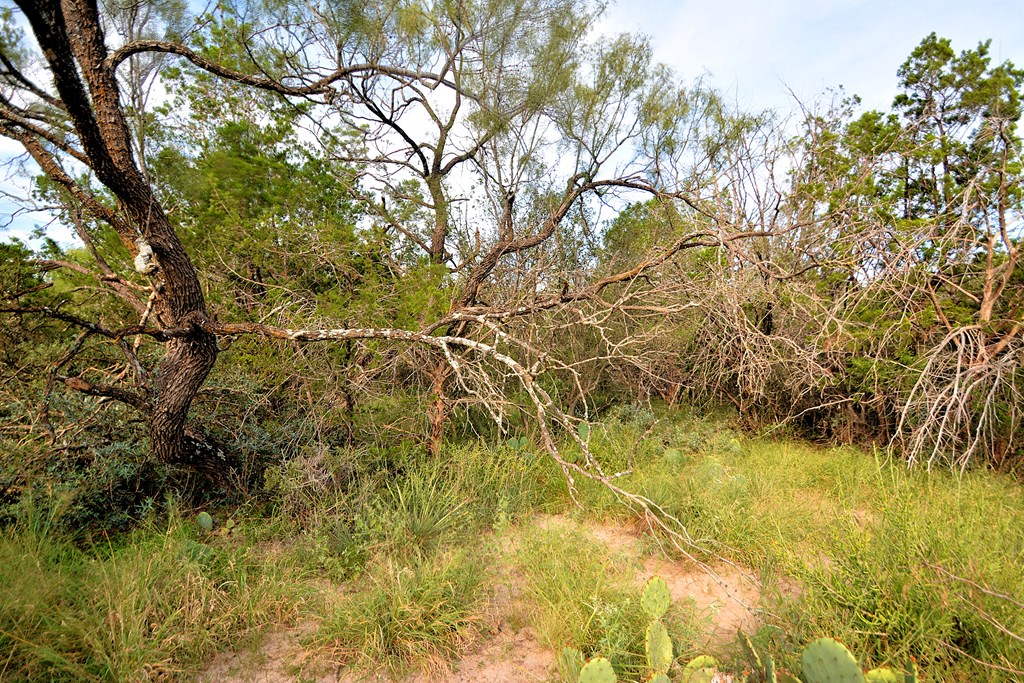 main property photo 15