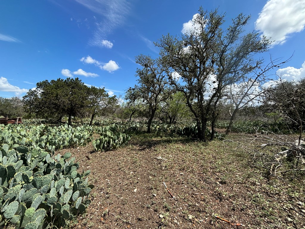 main property photo 15
