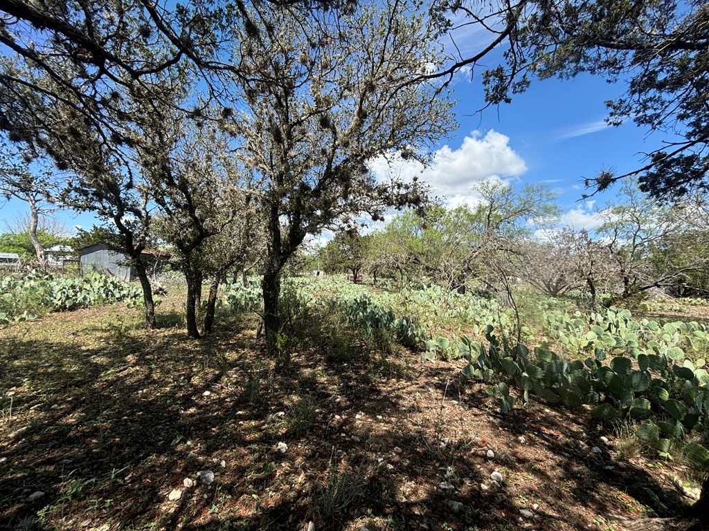 main property photo 19
