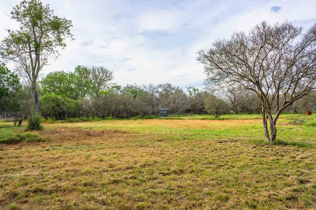 main property photo 39