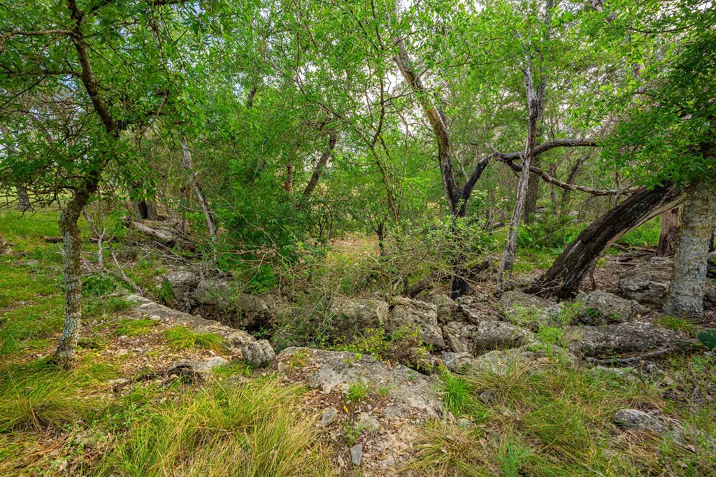 main property photo 40