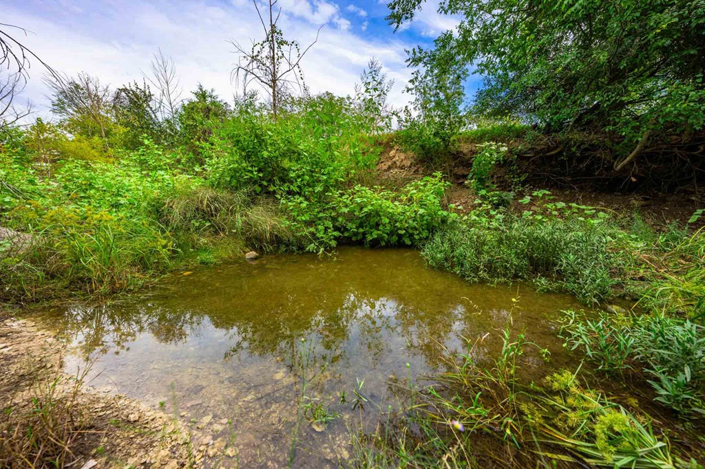 main property photo 45