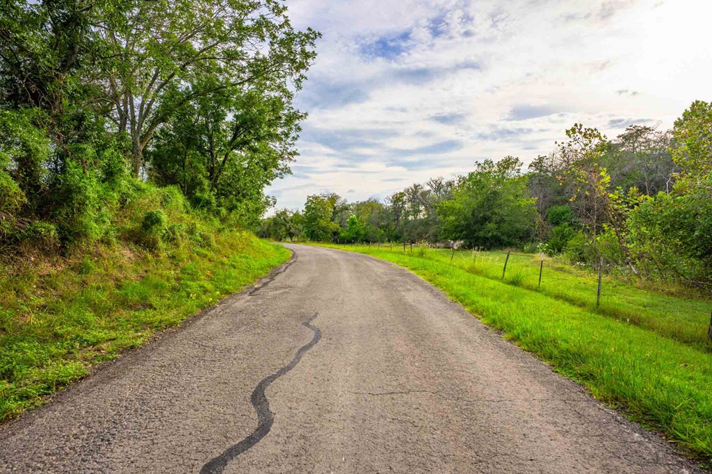 main property photo 48