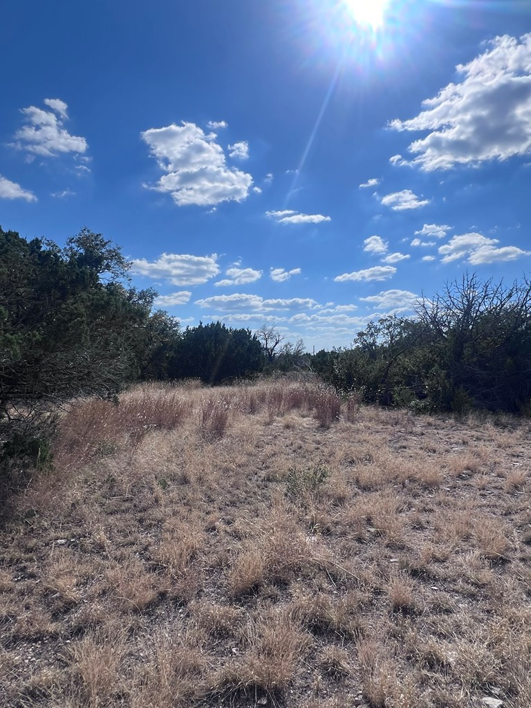 main property photo 10