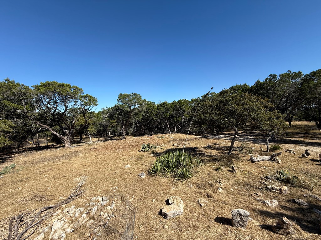 main property photo 13