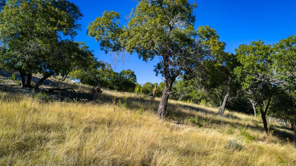 main property photo 50