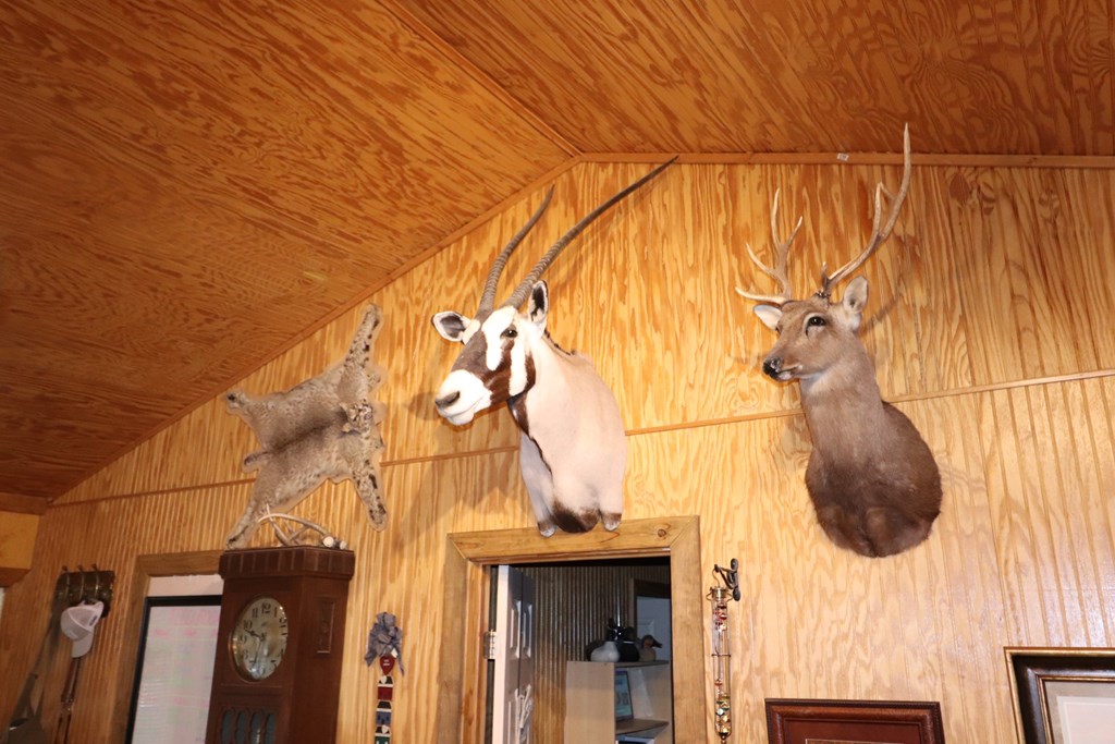 main property photo 42
