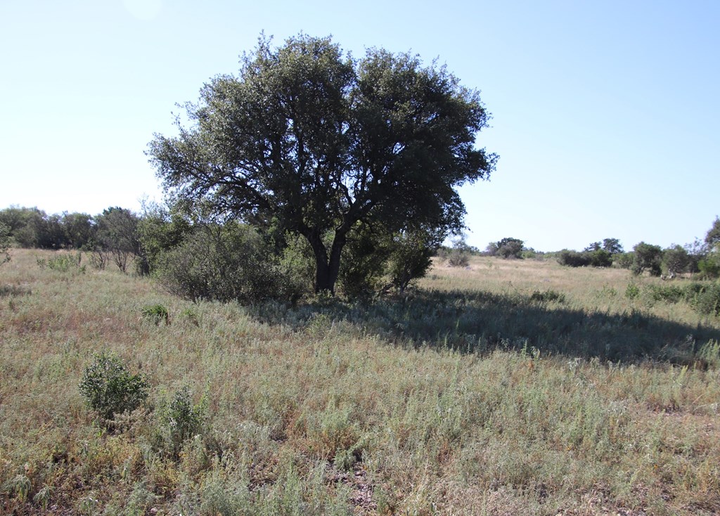main property photo 74