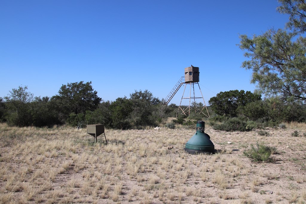 main property photo 77