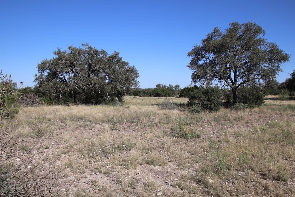 main property photo 78
