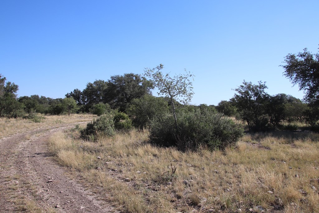 main property photo 79