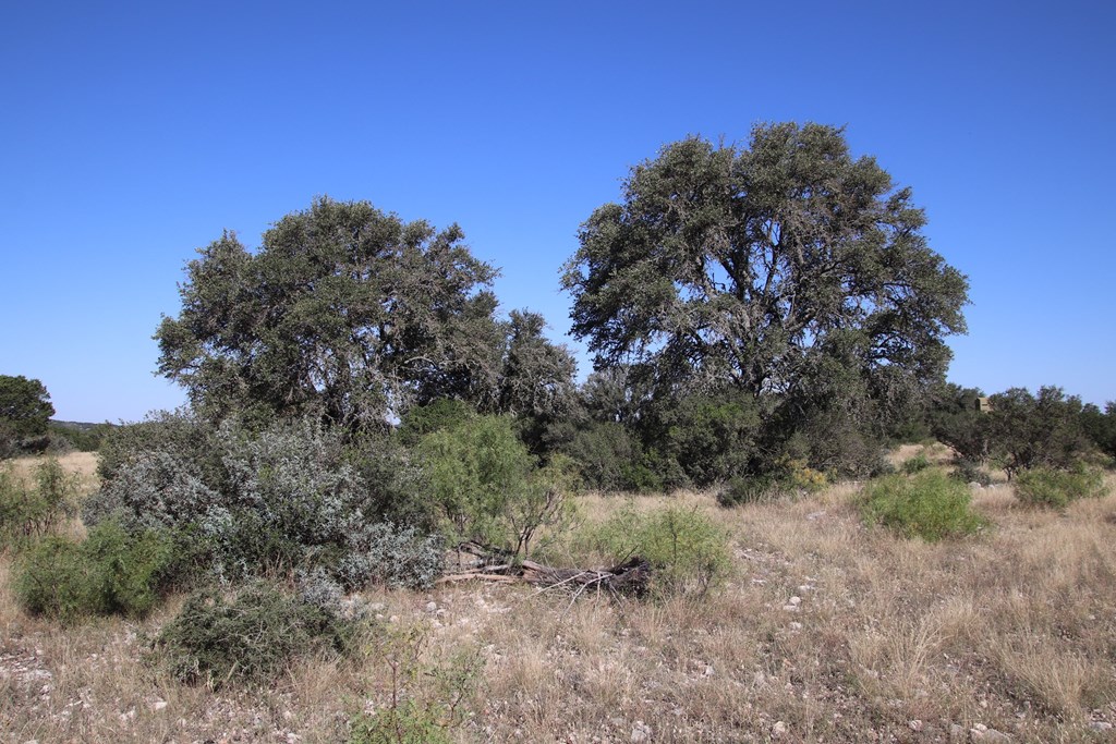 main property photo 80