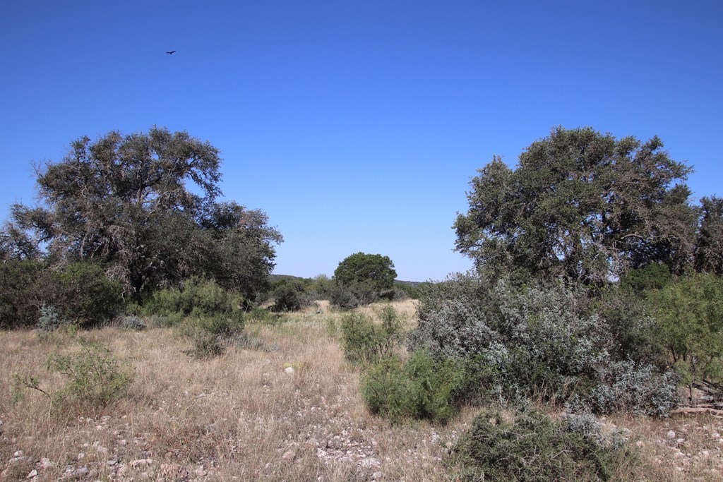main property photo 81