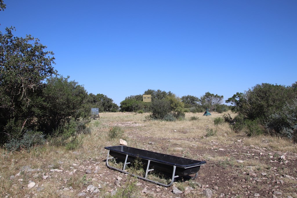 main property photo 82