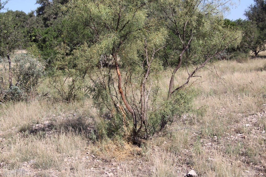 main property photo 84