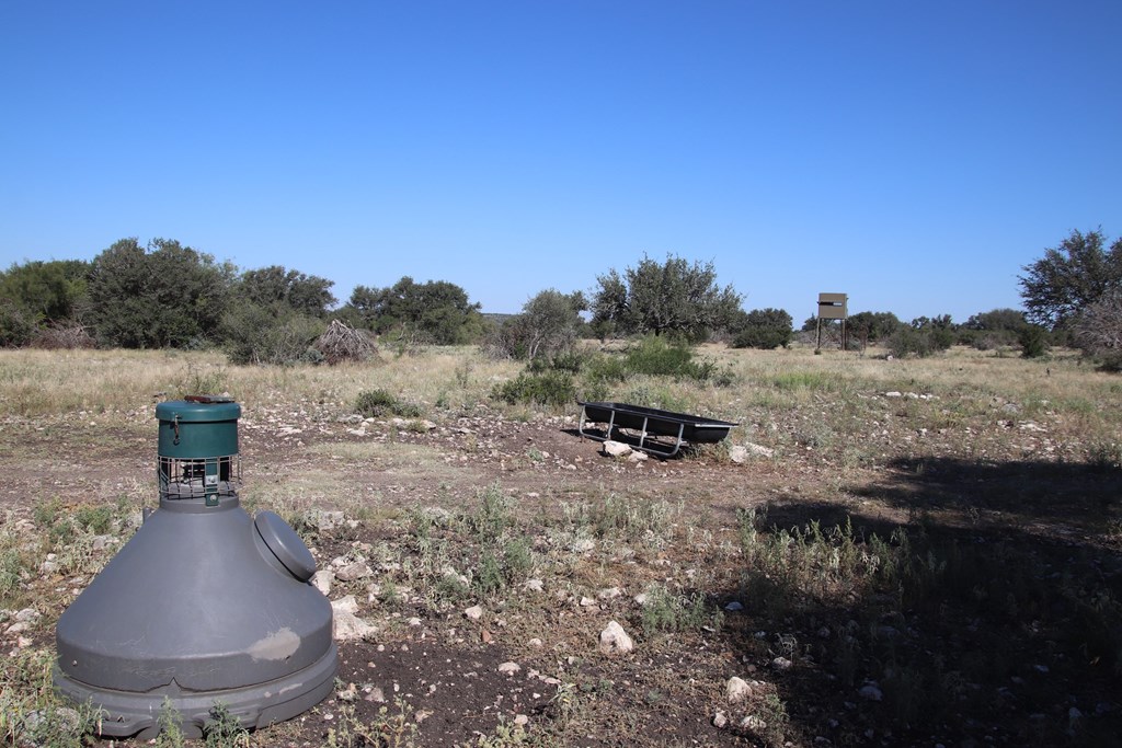 main property photo 85