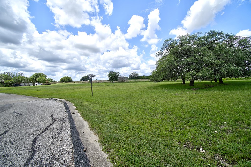 main property photo 14