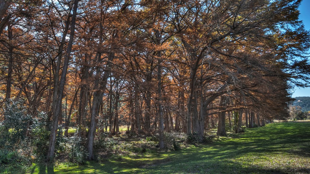 main property photo 25