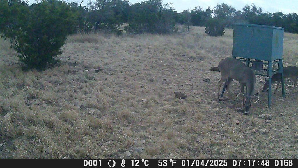 main property photo 12