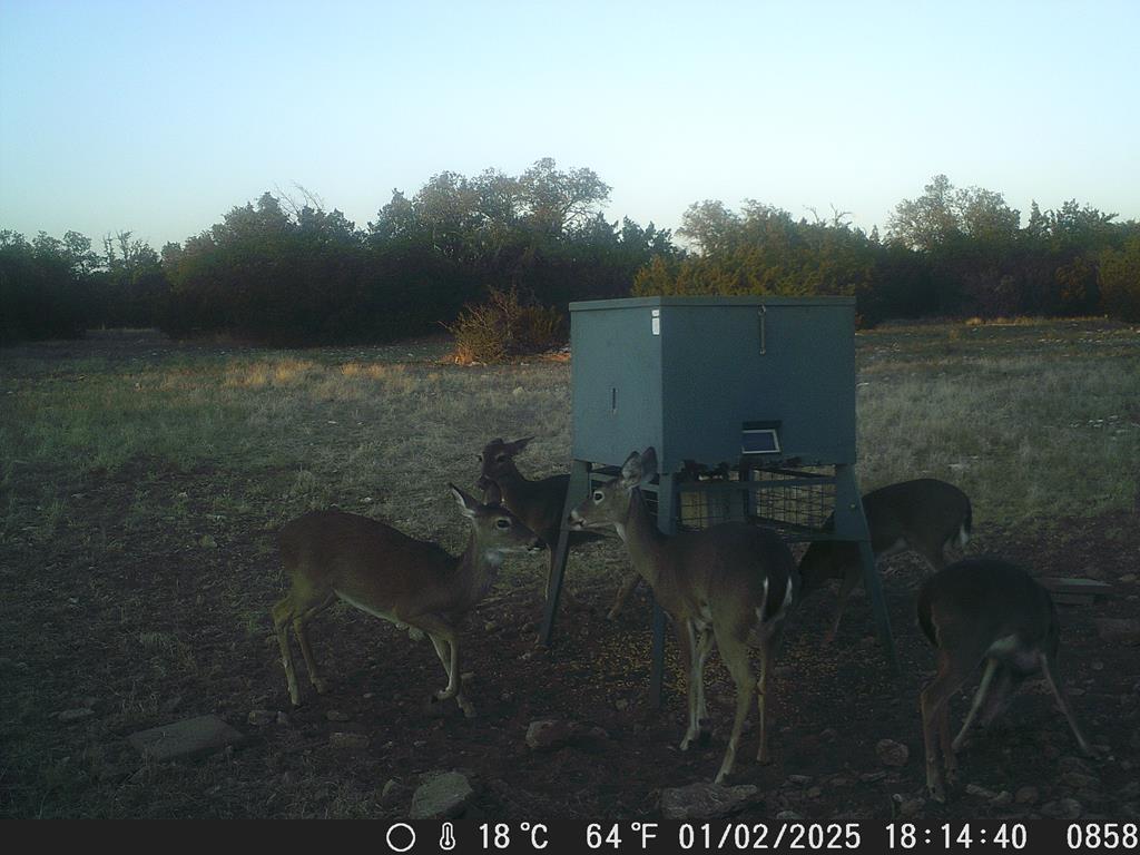 main property photo 19