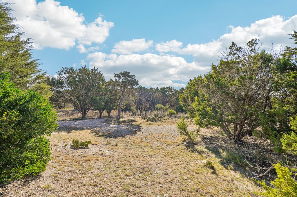 main property photo 48